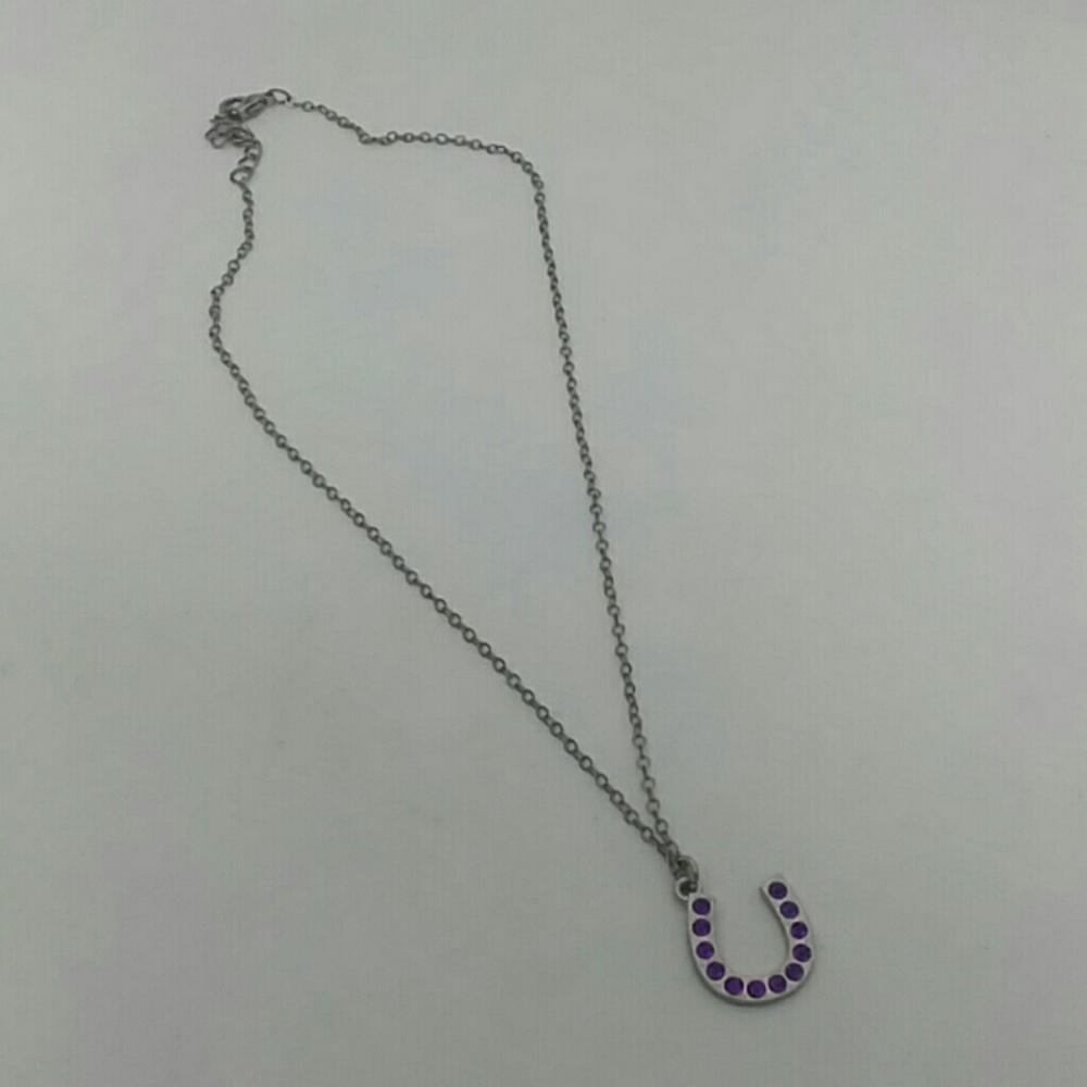 Silver-Tone Horseshoe Pendant Necklace
